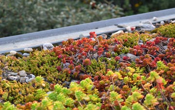 the cost of Stratford green roof installation